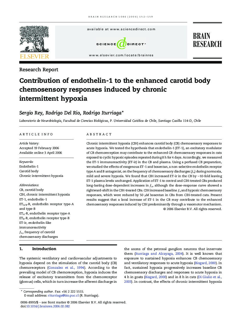 Contribution of endothelin-1 to the enhanced carotid body chemosensory responses induced by chronic intermittent hypoxia