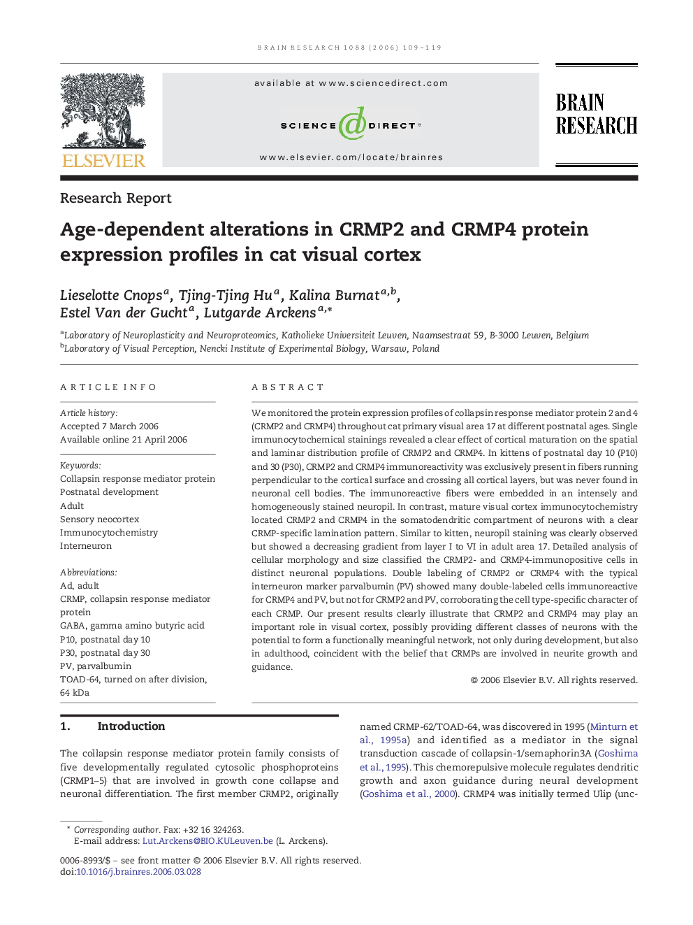 Age-dependent alterations in CRMP2 and CRMP4 protein expression profiles in cat visual cortex