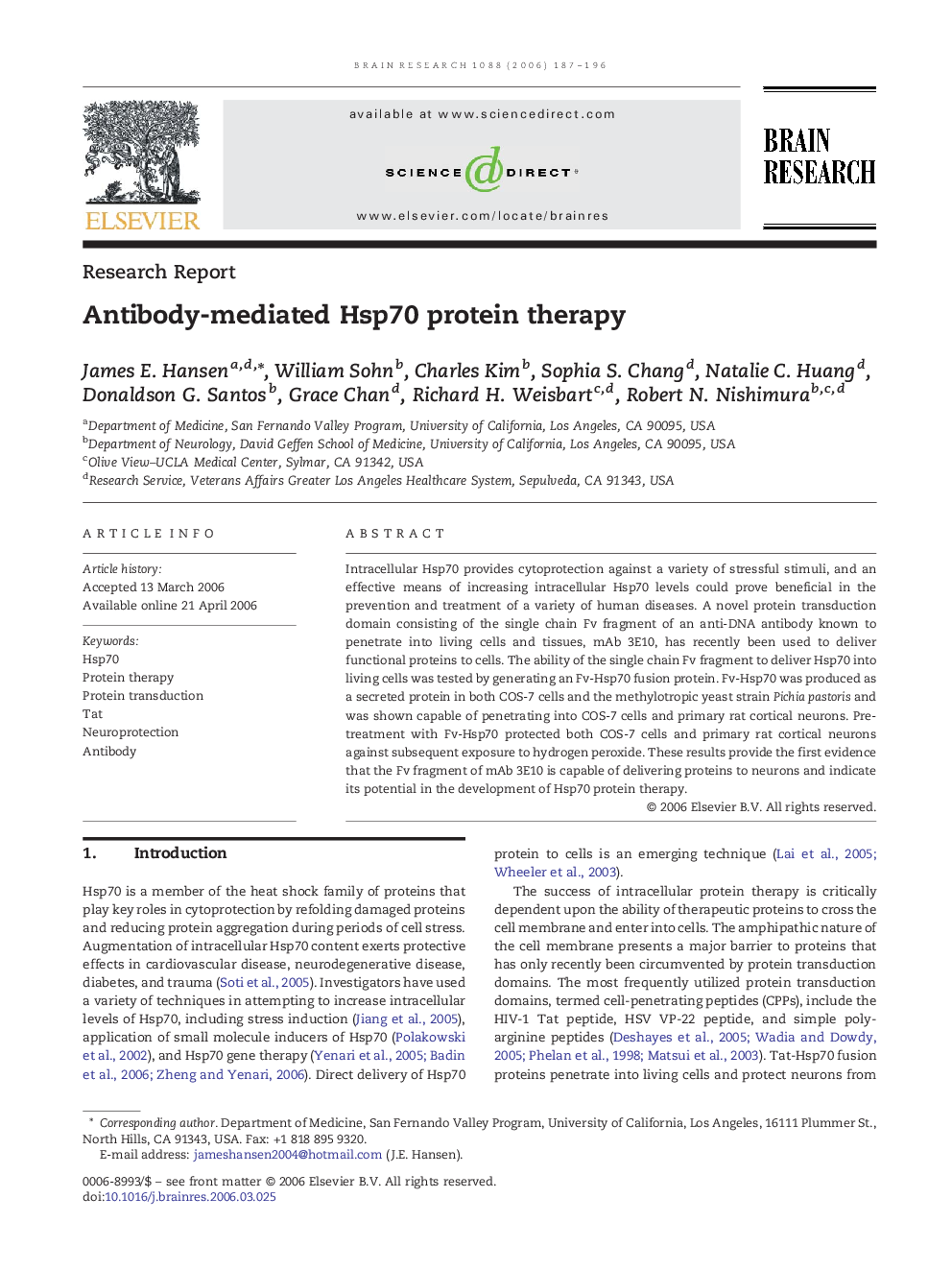 Antibody-mediated Hsp70 protein therapy