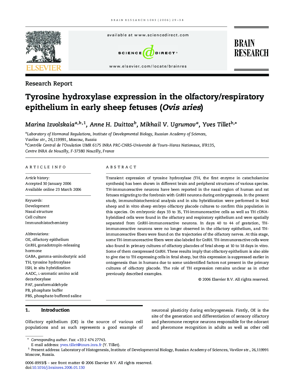 Tyrosine hydroxylase expression in the olfactory/respiratory epithelium in early sheep fetuses (Ovis aries)