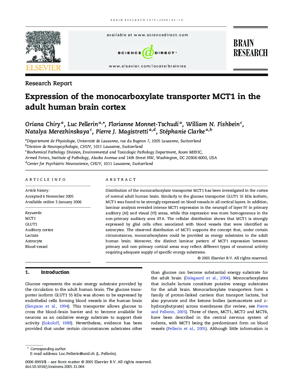 Expression of the monocarboxylate transporter MCT1 in the adult human brain cortex