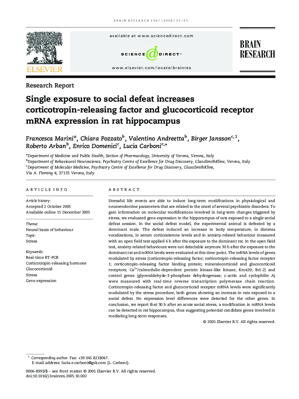 Single exposure to social defeat increases corticotropin-releasing factor and glucocorticoid receptor mRNA expression in rat hippocampus