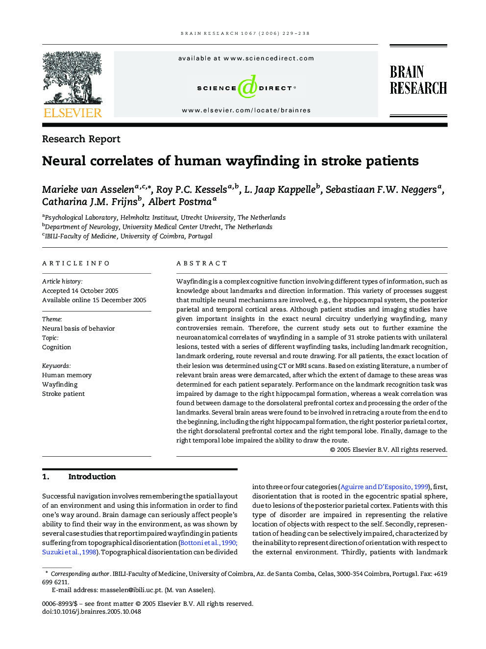 Neural correlates of human wayfinding in stroke patients