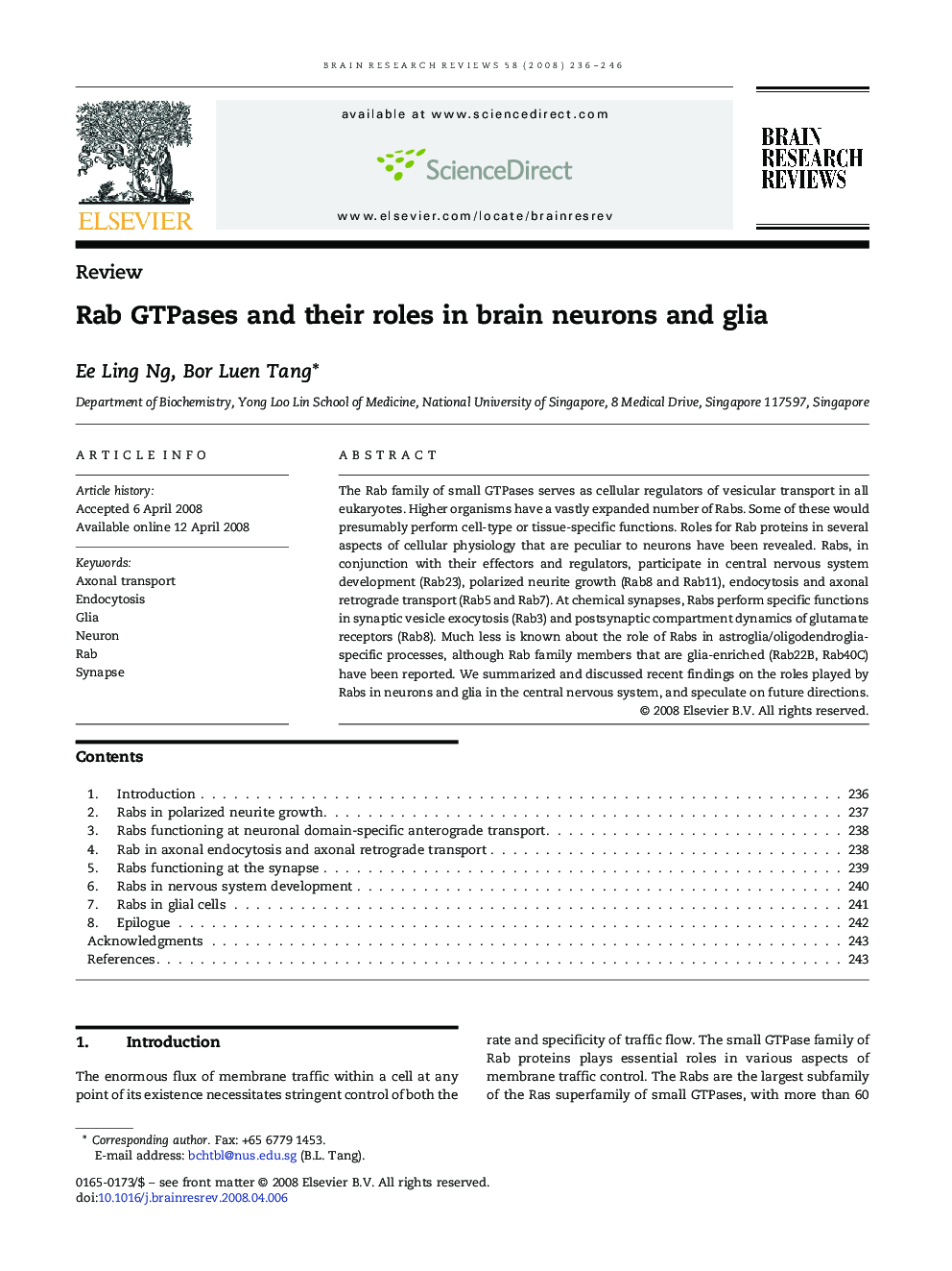 Rab GTPases and their roles in brain neurons and glia