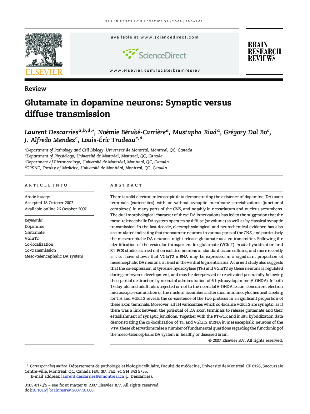 Glutamate in dopamine neurons: Synaptic versus diffuse transmission