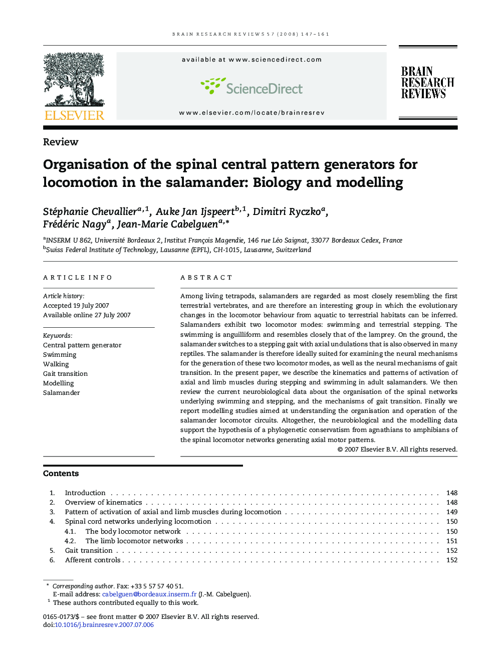 Organisation of the spinal central pattern generators for locomotion in the salamander: Biology and modelling