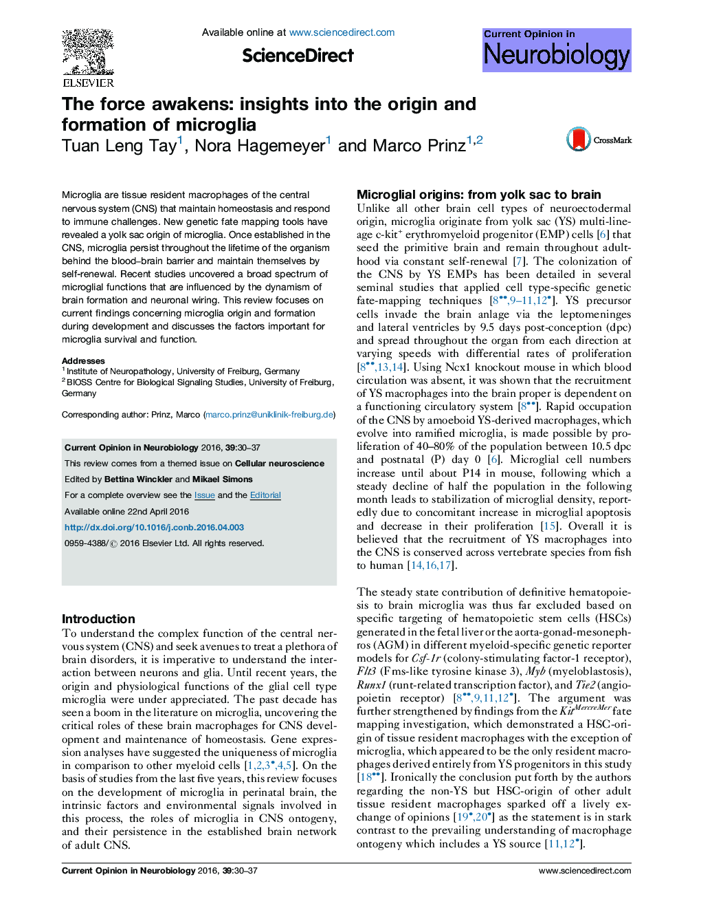 The force awakens: insights into the origin and formation of microglia