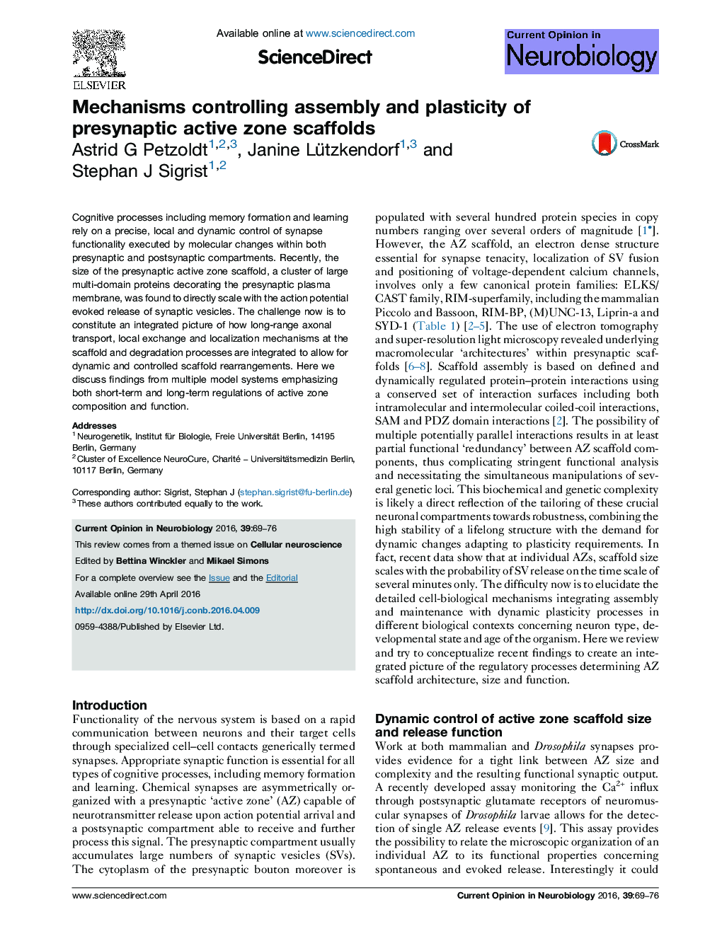 Mechanisms controlling assembly and plasticity of presynaptic active zone scaffolds