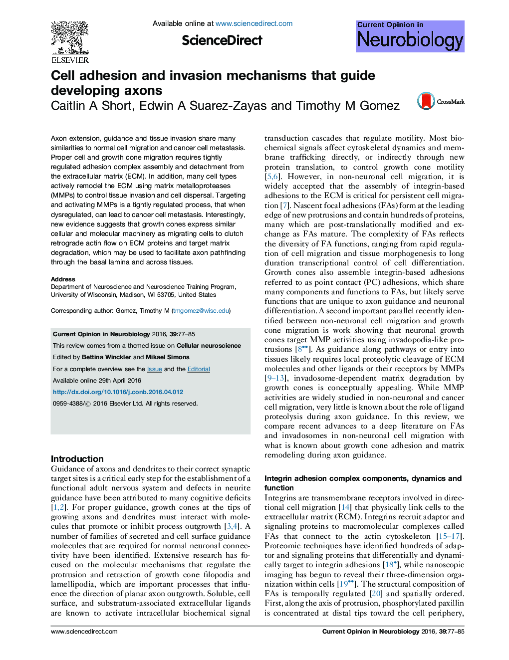 Cell adhesion and invasion mechanisms that guide developing axons