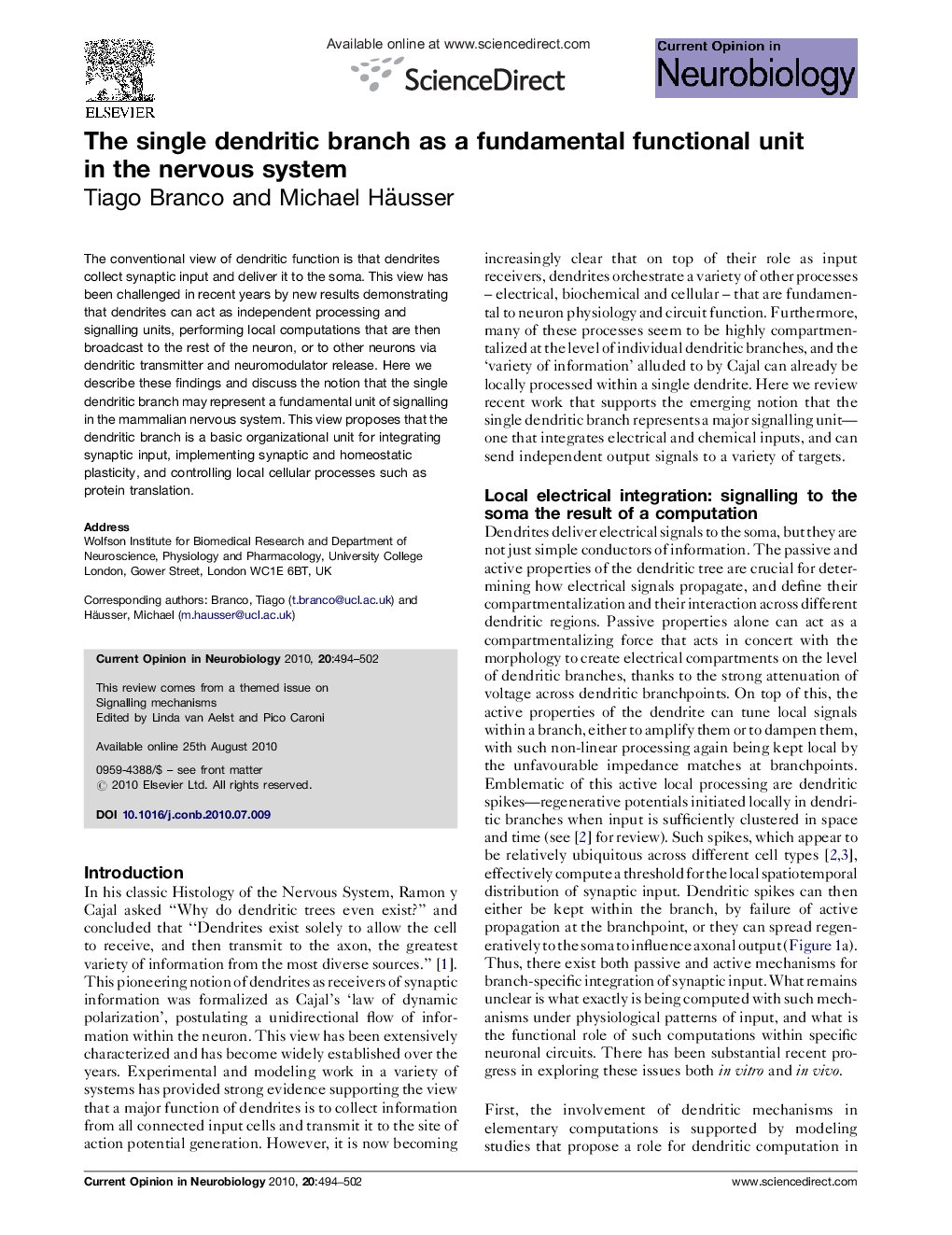 The single dendritic branch as a fundamental functional unit in the nervous system