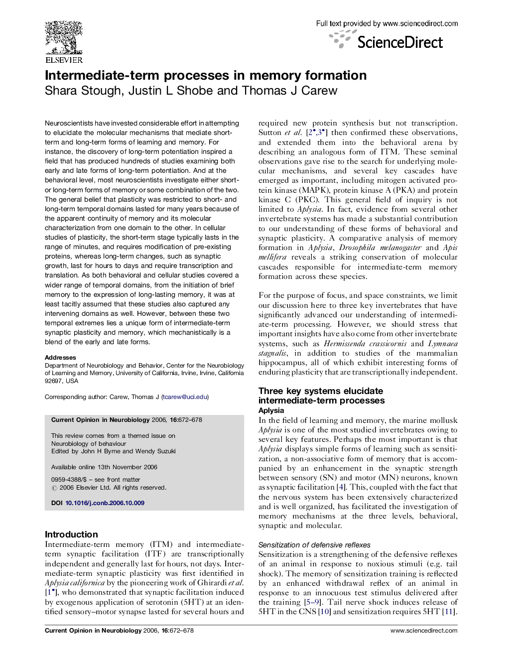 Intermediate-term processes in memory formation