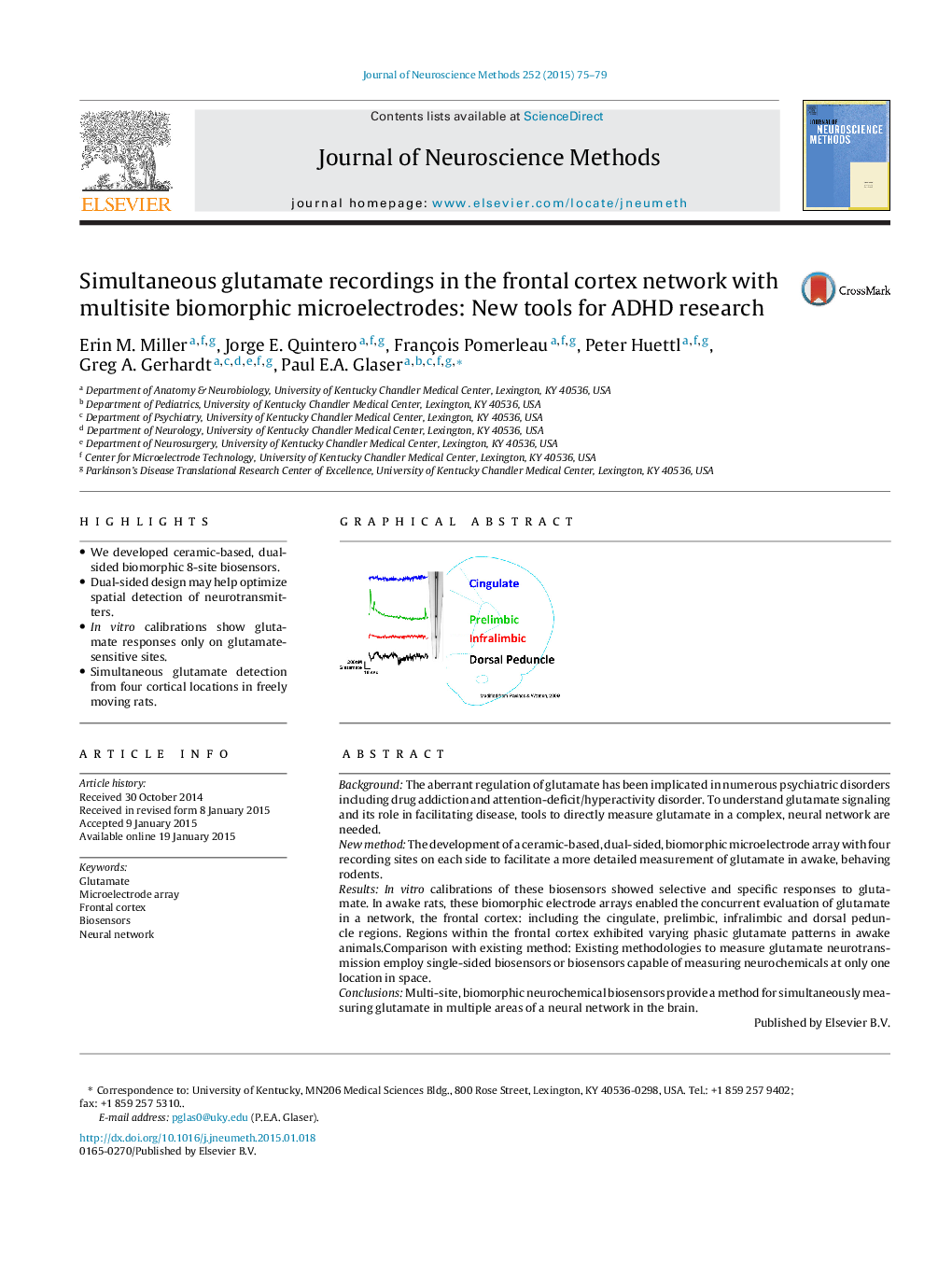 Simultaneous glutamate recordings in the frontal cortex network with multisite biomorphic microelectrodes: New tools for ADHD research