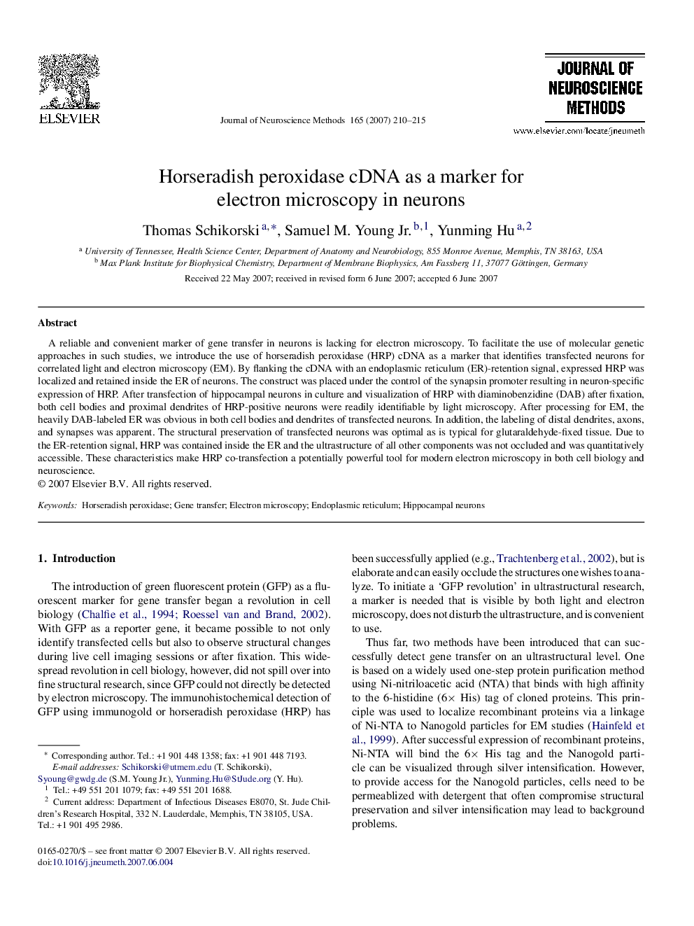 Horseradish peroxidase cDNA as a marker for electron microscopy in neurons