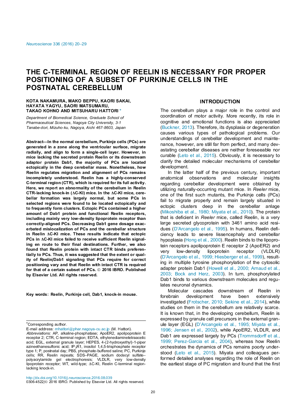 The C-terminal region of Reelin is necessary for proper positioning of a subset of Purkinje cells in the postnatal cerebellum