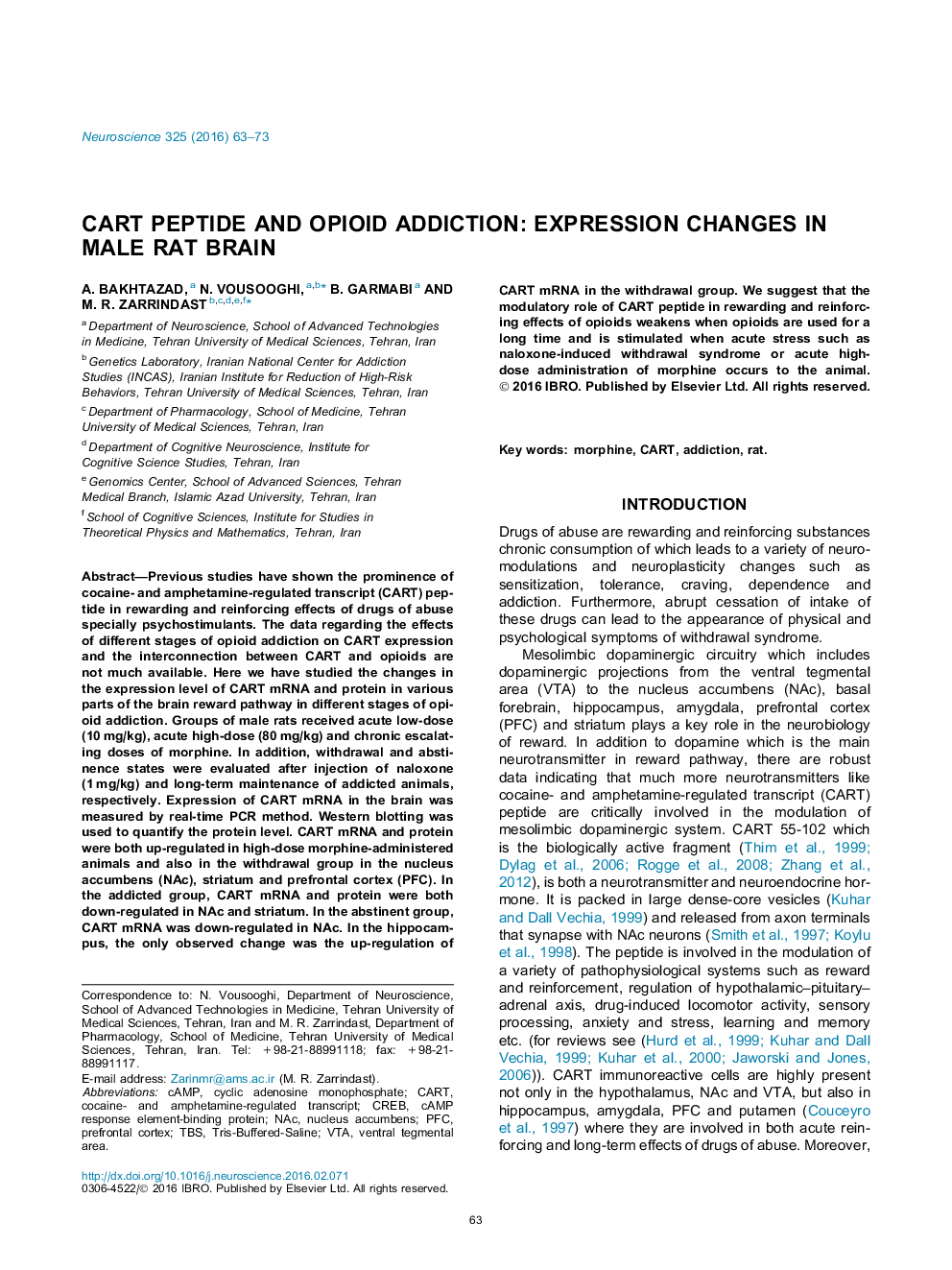 CART peptide and opioid addiction: Expression changes in male rat brain