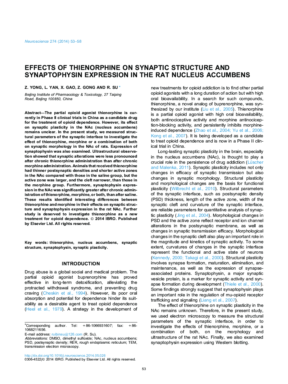 Effects of thienorphine on synaptic structure and synaptophysin expression in the rat nucleus accumbens