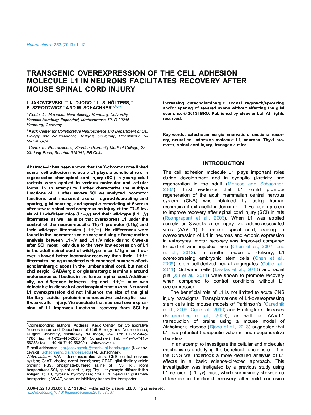 Transgenic overexpression of the cell adhesion molecule L1 in neurons facilitates recovery after mouse spinal cord injury