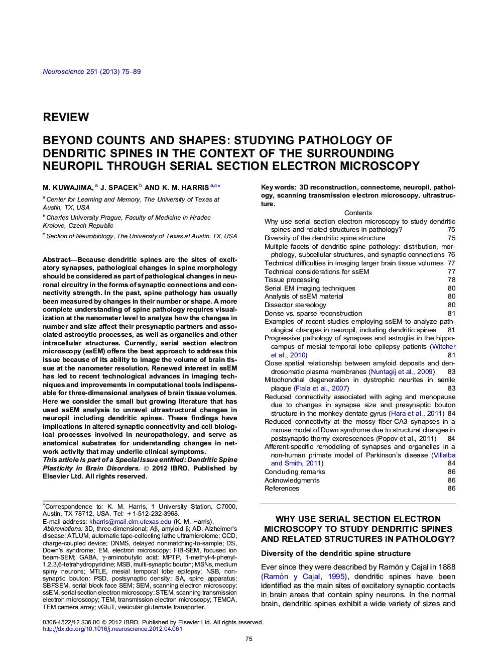 Beyond counts and shapes: Studying pathology of dendritic spines in the context of the surrounding neuropil through serial section electron microscopy