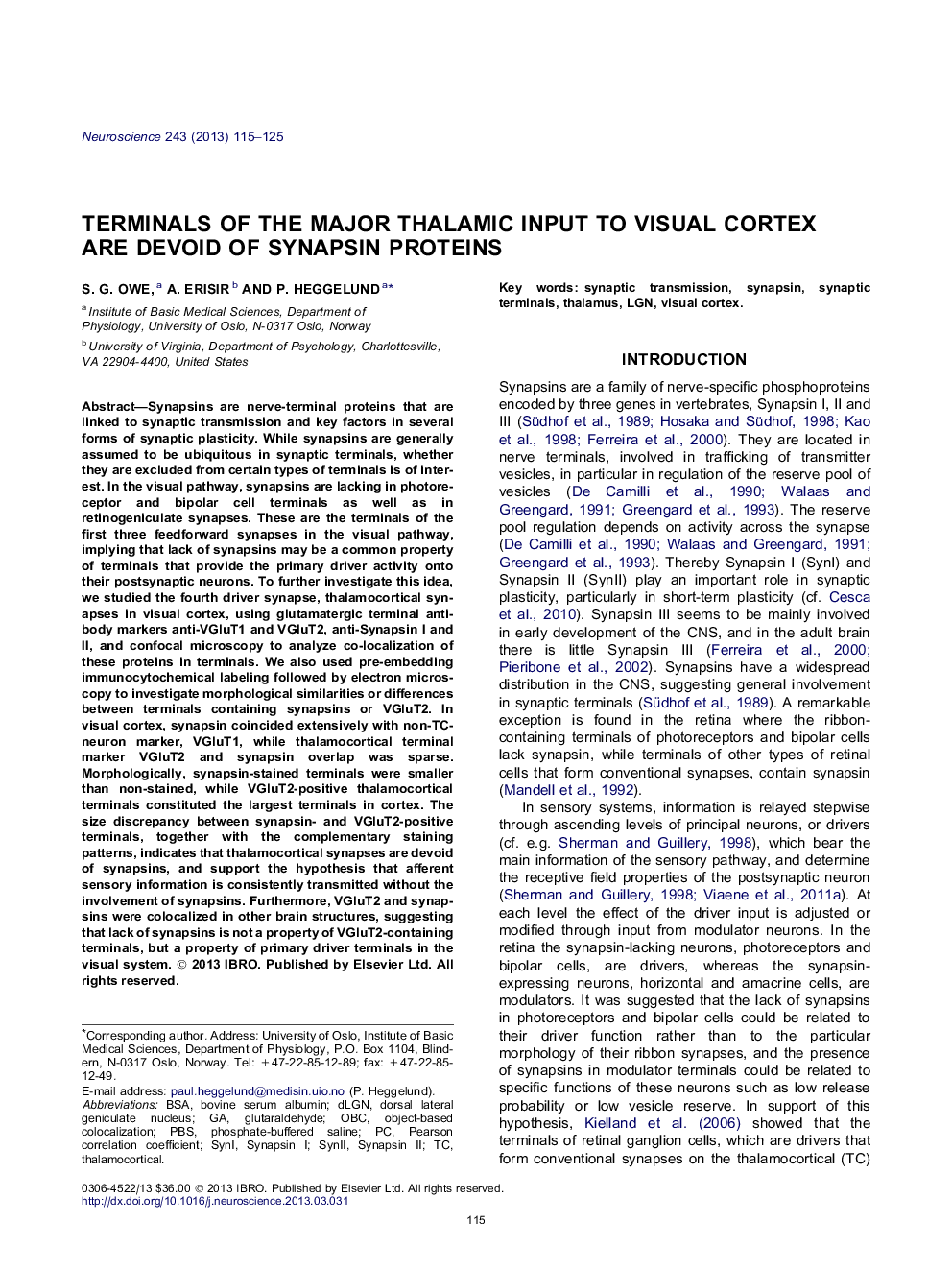 Terminals of the major thalamic input to visual cortex are devoid of synapsin proteins