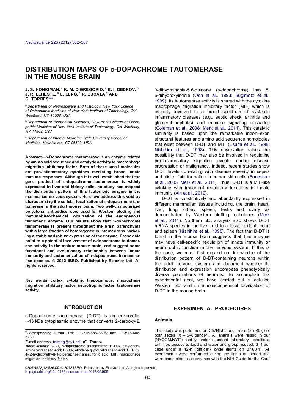 Distribution maps of d-dopachrome tautomerase in the mouse brain