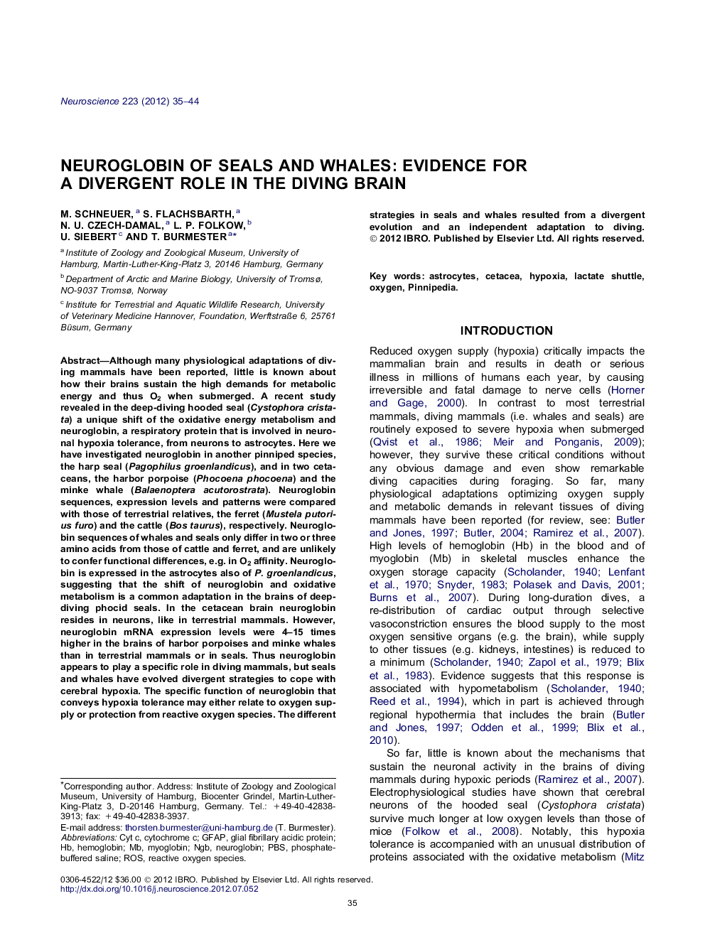 Neuroglobin of seals and whales: Evidence for a divergent role in the diving brain