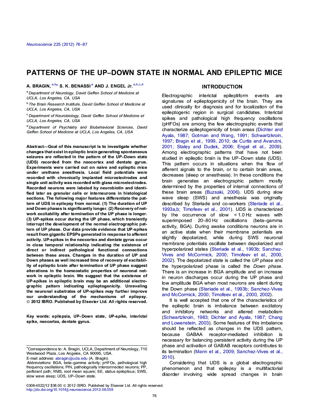 Patterns of the UP–Down state in normal and epileptic mice