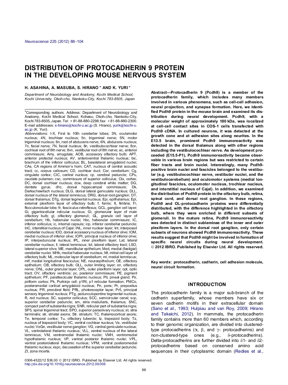 Distribution of protocadherin 9 protein in the developing mouse nervous system