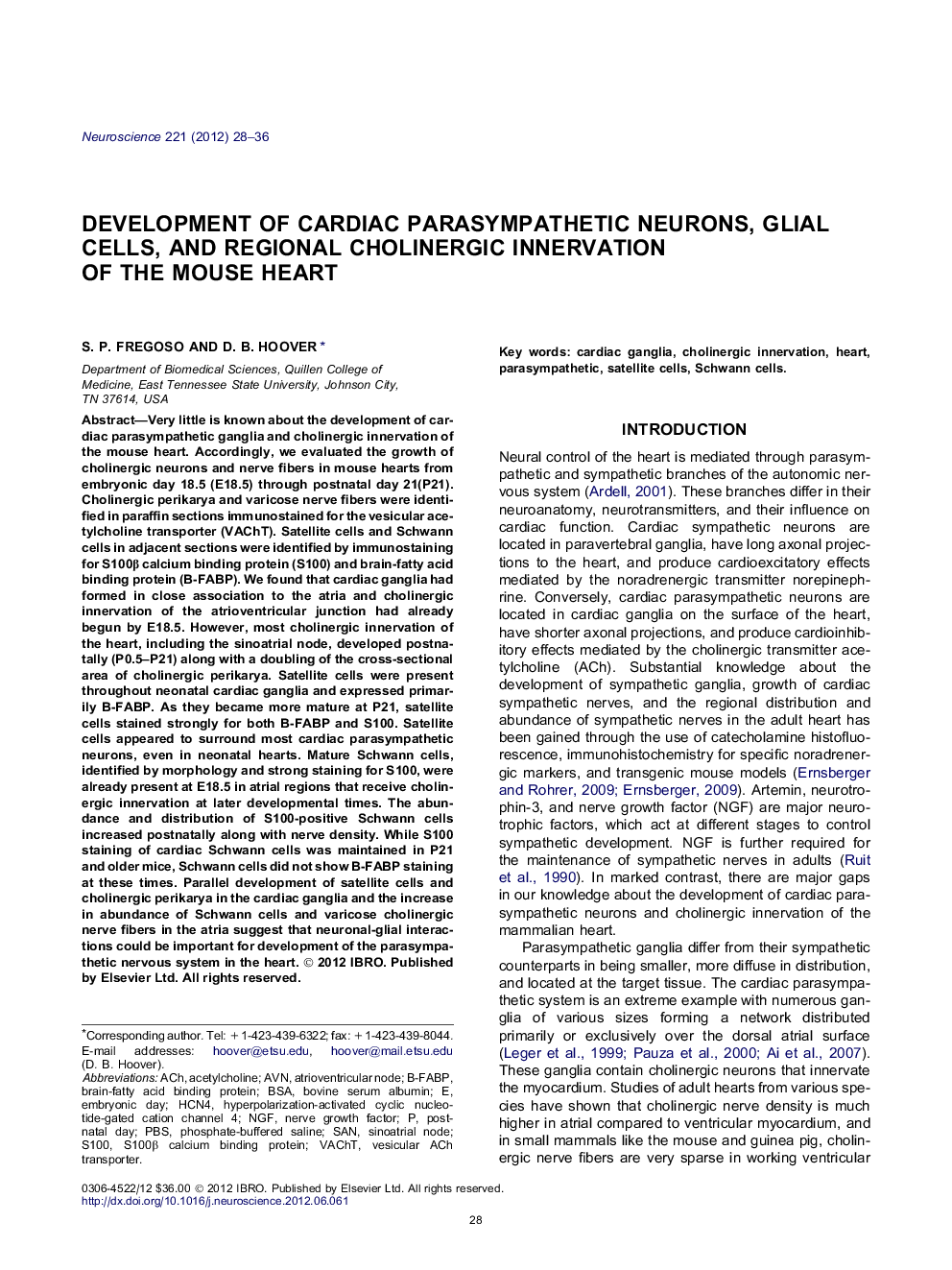 Development of cardiac parasympathetic neurons, glial cells, and regional cholinergic innervation of the mouse heart