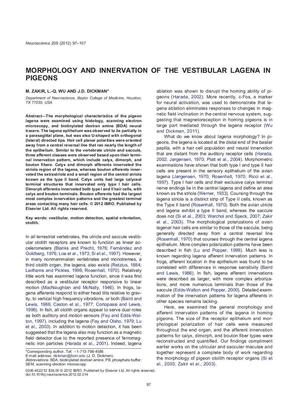 Morphology and innervation of the vestibular lagena in pigeons