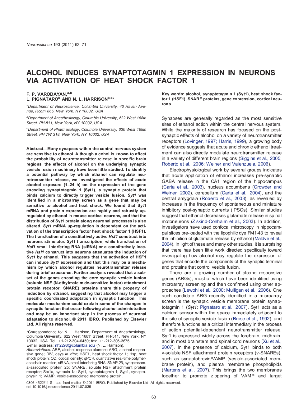 Alcohol induces synaptotagmin 1 expression in neurons via activation of heat shock factor 1