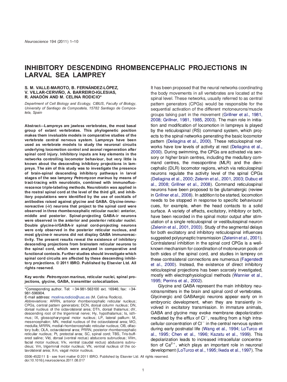 Inhibitory descending rhombencephalic projections in larval sea lamprey