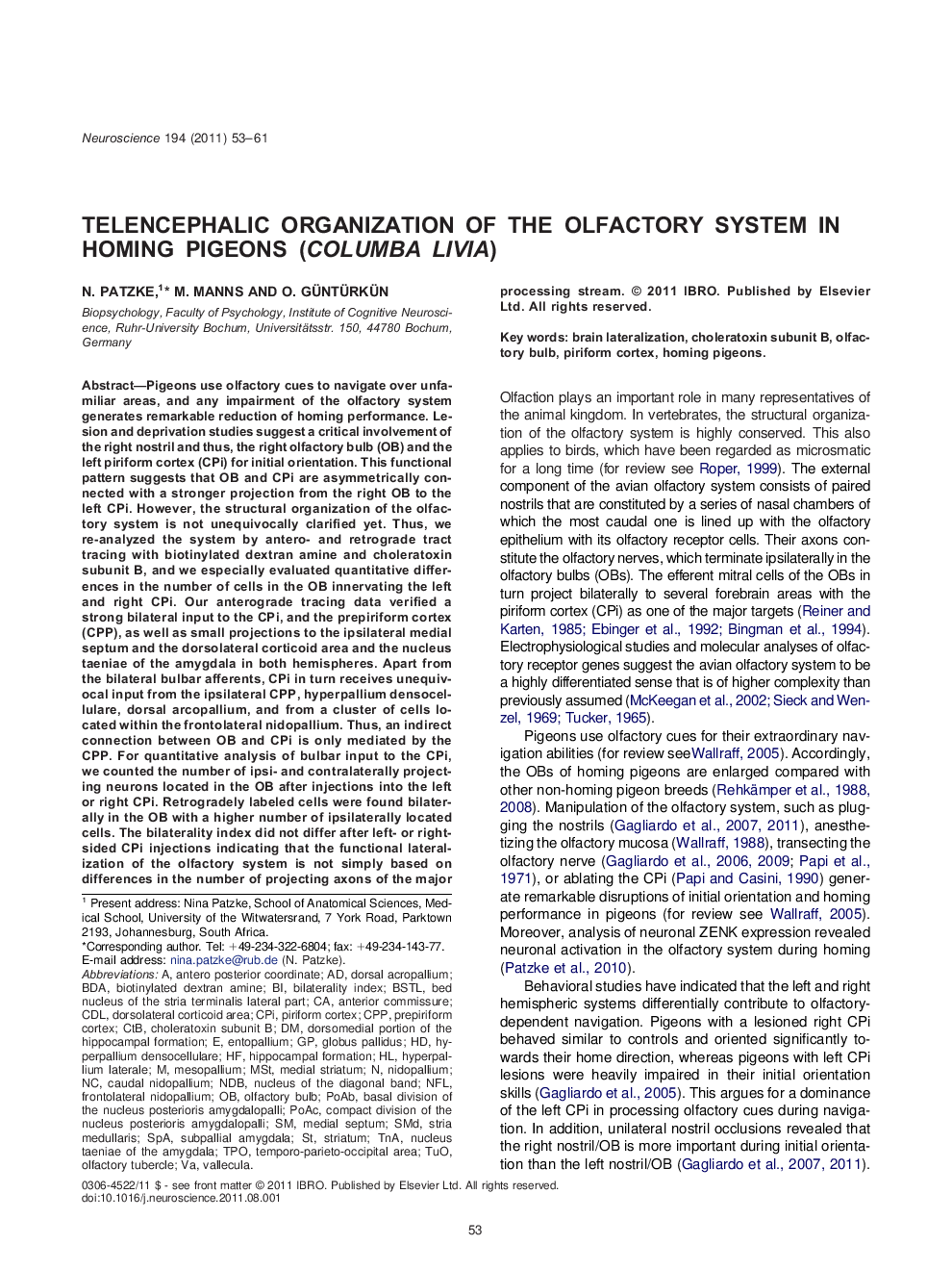 Telencephalic organization of the olfactory system in homing pigeons (Columba livia)