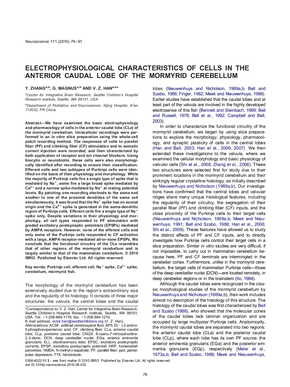 Electrophysiological characteristics of cells in the anterior caudal lobe of the mormyrid cerebellum