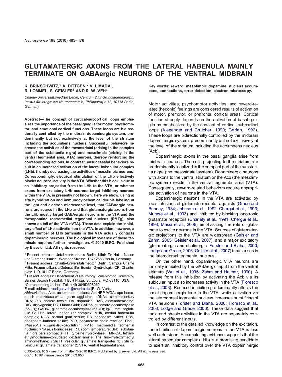 Glutamatergic axons from the lateral habenula mainly terminate on GABAergic neurons of the ventral midbrain