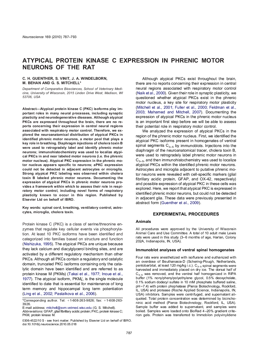 Atypical protein kinase C expression in phrenic motor neurons of the rat