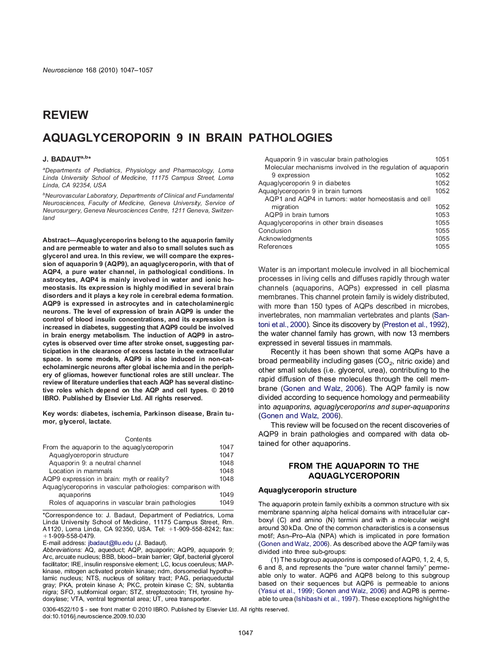 Aquaglyceroporin 9 in brain pathologies