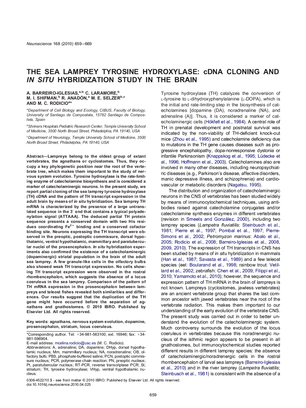 The sea lamprey tyrosine hydroxylase: cDNA cloning and in situ hybridization study in the brain