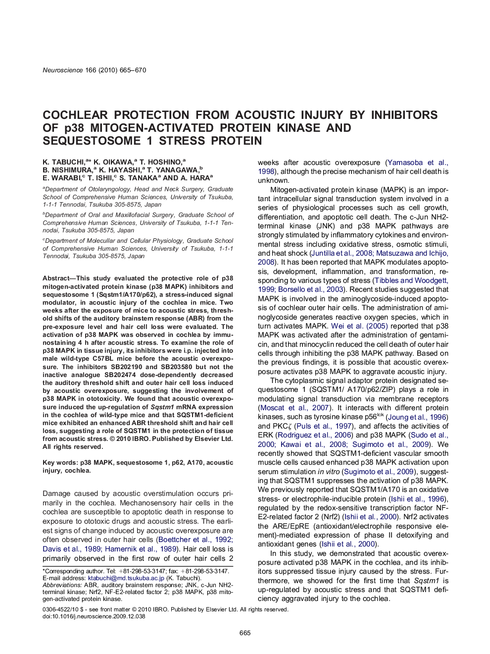 Cochlear protection from acoustic injury by inhibitors of p38 mitogen-activated protein kinase and sequestosome 1 stress protein