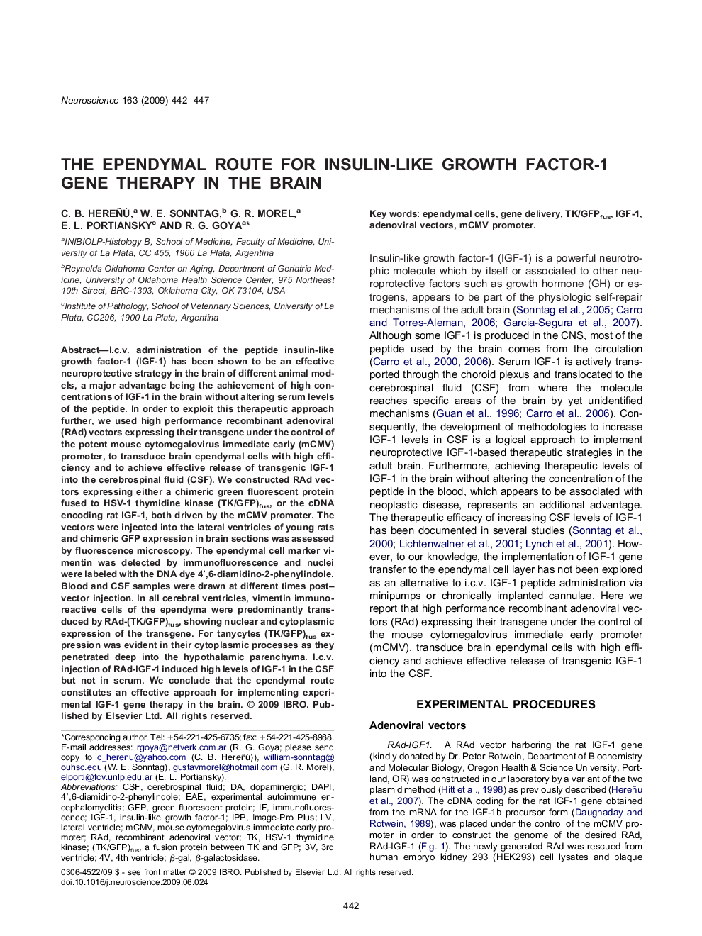 The ependymal route for insulin-like growth factor-1 gene therapy in the brain