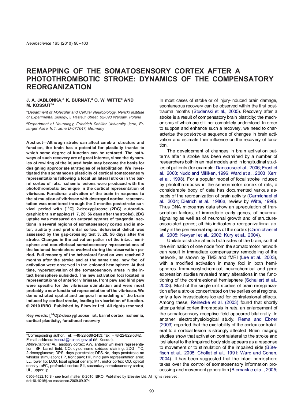 Remapping of the somatosensory cortex after a photothrombotic stroke: dynamics of the compensatory reorganization