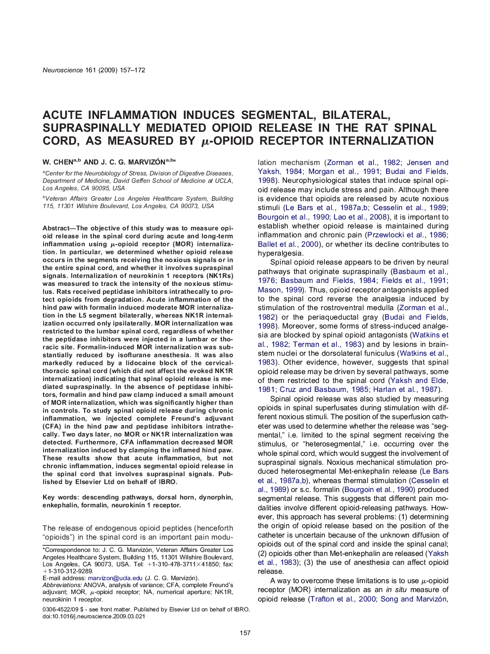 Acute inflammation induces segmental, bilateral, supraspinally mediated opioid release in the rat spinal cord, as measured by μ-opioid receptor internalization