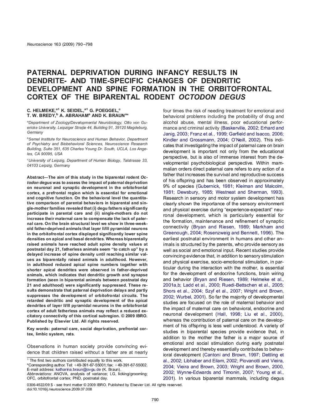 Paternal deprivation during infancy results in dendrite- and time-specific changes of dendritic development and spine formation in the orbitofrontal cortex of the biparental rodent Octodon degus