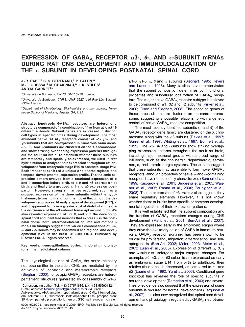 Expression of GABAA receptor α3-, θ-, and ε-subunit mRNAs during rat CNS development and immunolocalization of the ε subunit in developing postnatal spinal cord