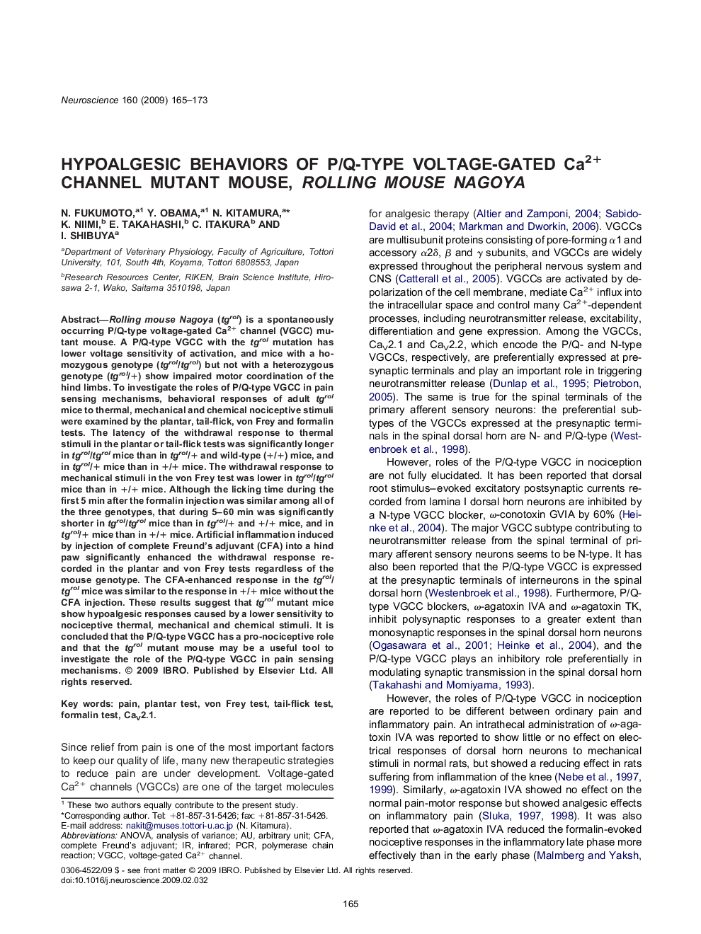 Hypoalgesic behaviors of P/Q-type voltage-gated Ca2+ channel mutant mouse, rolling mouse Nagoya