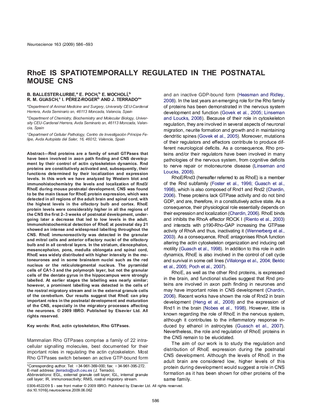 RhoE is spatiotemporally regulated in the postnatal mouse CNS