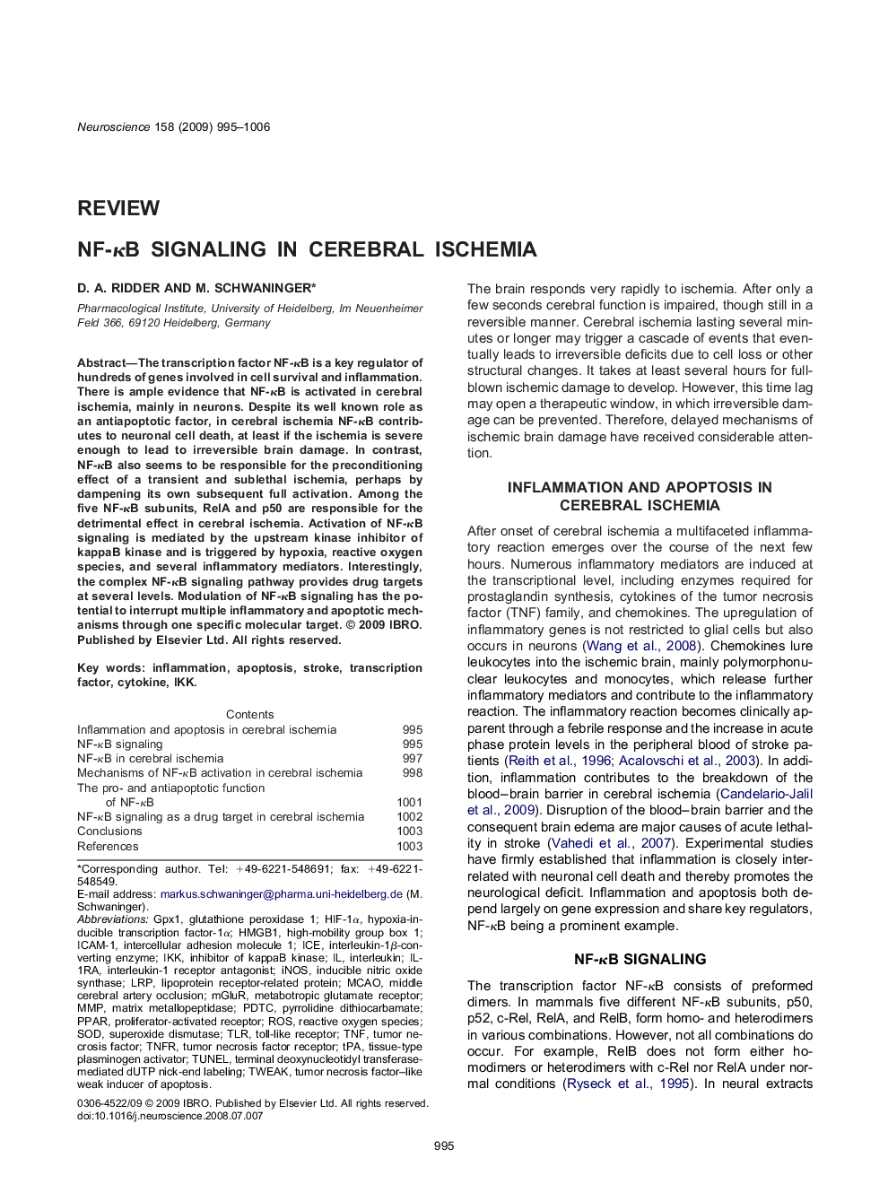 NF-κB signaling in cerebral ischemia