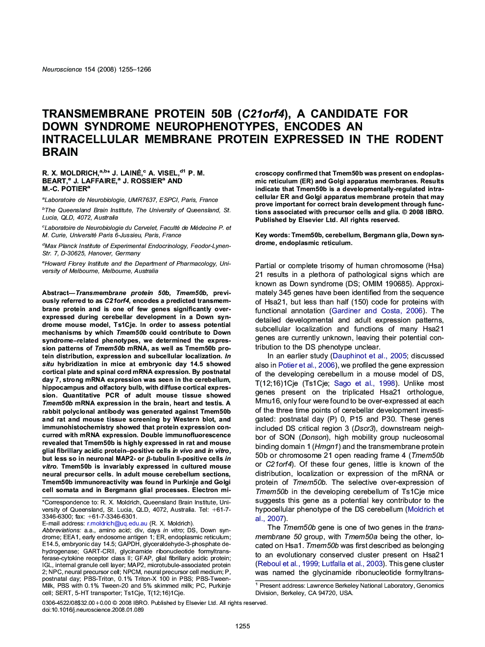 Transmembrane protein 50b (C21orf4), a candidate for Down syndrome neurophenotypes, encodes an intracellular membrane protein expressed in the rodent brain