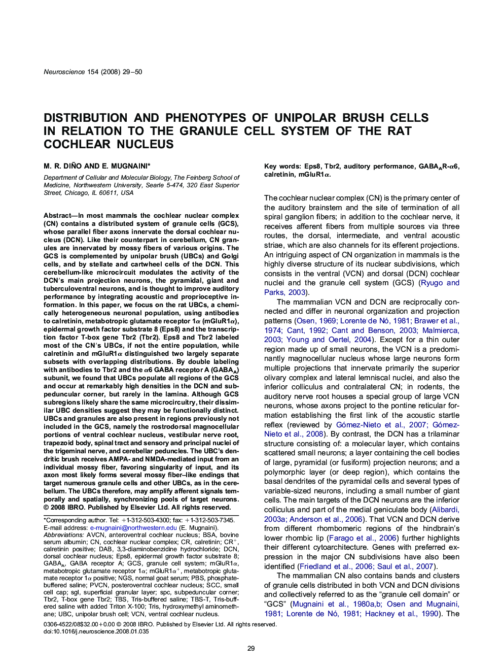 Distribution and phenotypes of unipolar brush cells in relation to the granule cell system of the rat cochlear nucleus