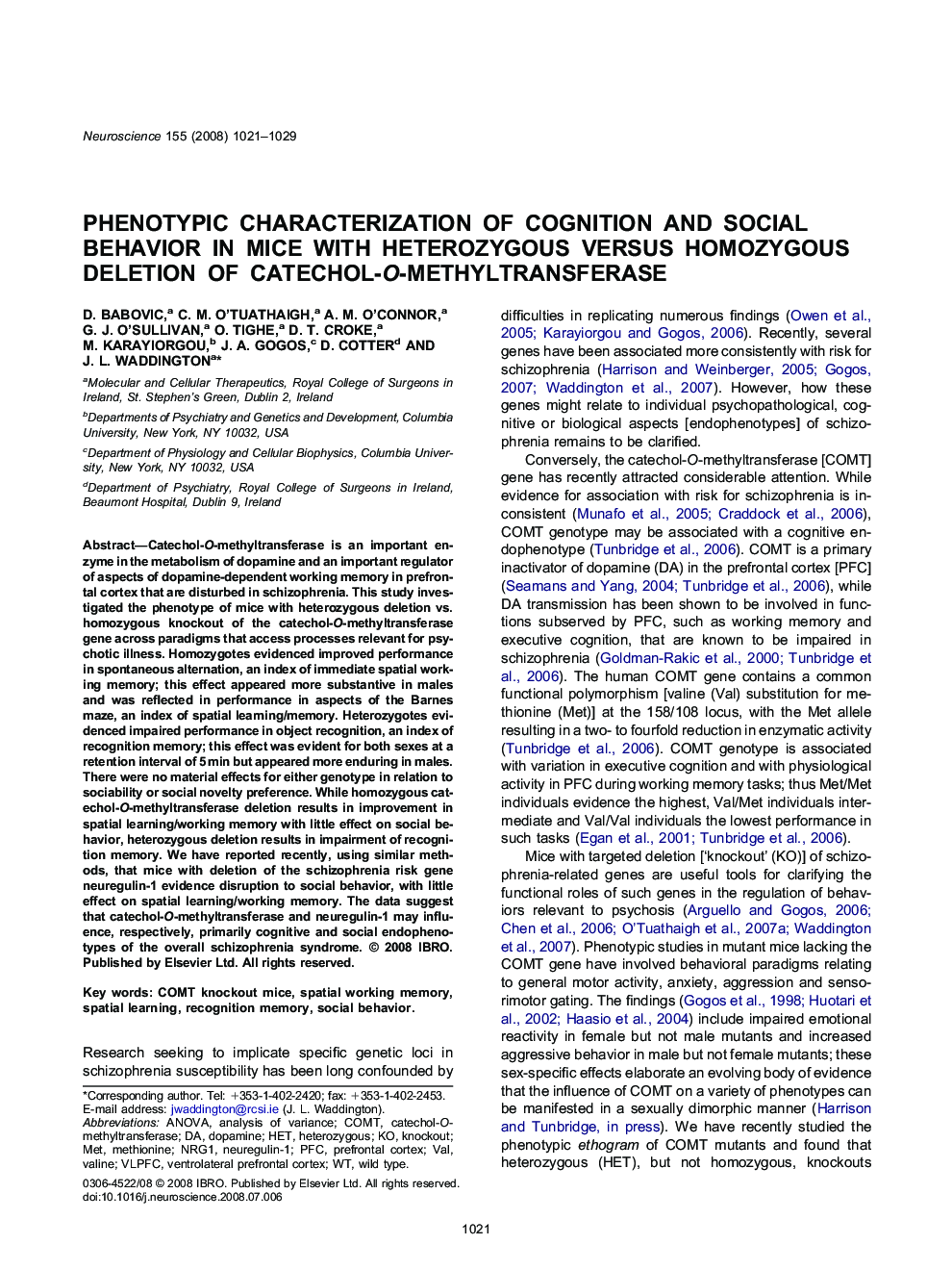 Phenotypic characterization of cognition and social behavior in mice with heterozygous versus homozygous deletion of catechol-O-methyltransferase