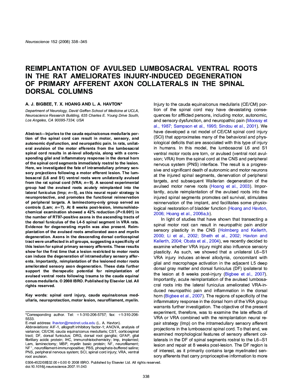 Reimplantation of avulsed lumbosacral ventral roots in the rat ameliorates injury-induced degeneration of primary afferent axon collaterals in the spinal dorsal columns